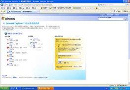 微軟與搜索廠商合作，升級(jí)IE7中文版搜索功能